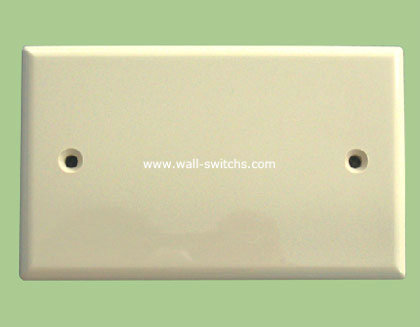 blank white ivory bakelite panel